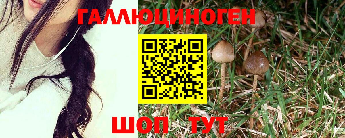 Псилоцибиновые грибы Cubensis  Псилоцибиновые грибы MAGIC MUSHROOMS  Вход с VPN  Переславль-Залесский 