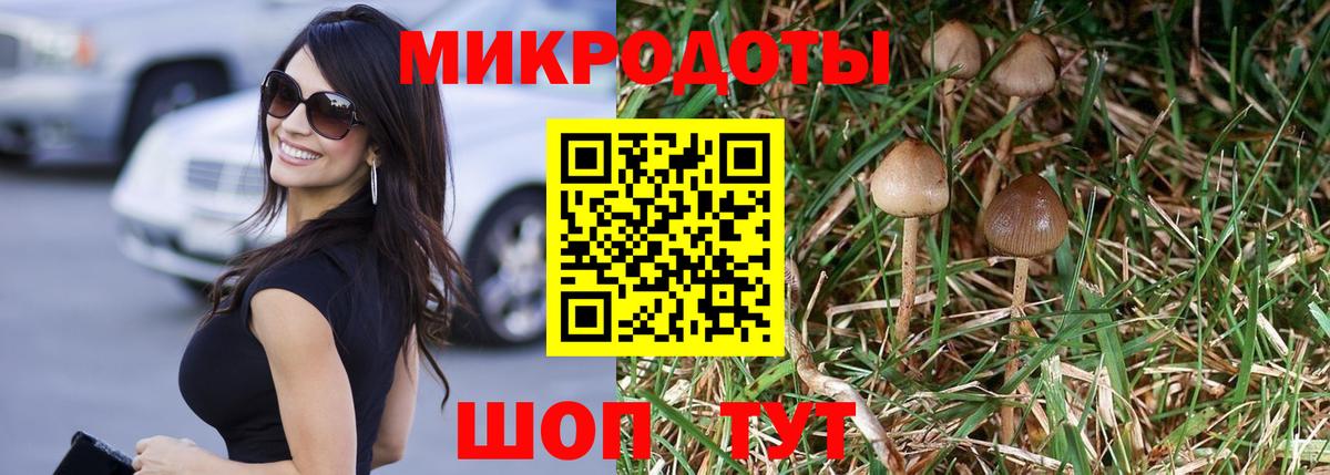Галлюциногенные грибы MAGIC MUSHROOMS Переславль-Залесский